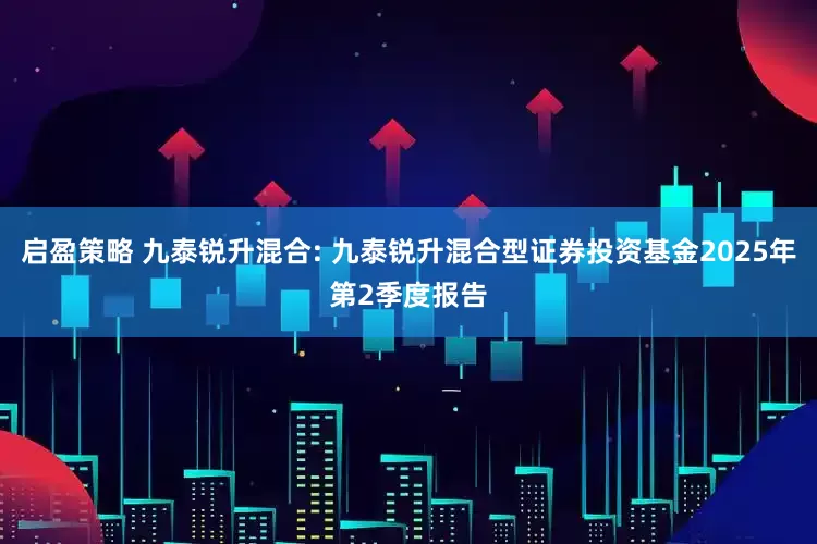 启盈策略 九泰锐升混合: 九泰锐升混合型证券投资基金2025年第2季度报告