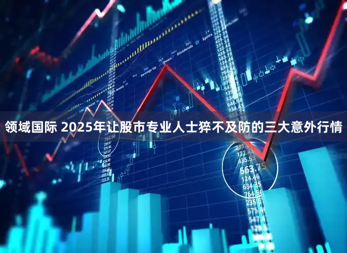 领域国际 2025年让股市专业人士猝不及防的三大意外行情